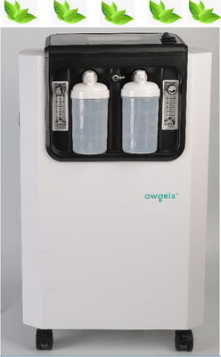 SGS 10 더 밝혀진 휴대용 산소 집선장치는 집에 산소 집선장치 10 라인 퍼 미니트를 사용합니다