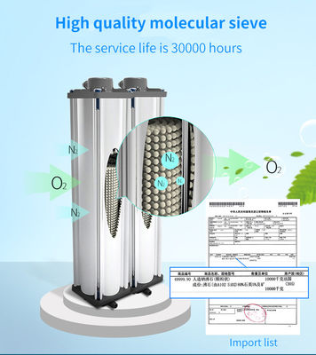 ODM 의료 요법 산소 농축기 3l 장비